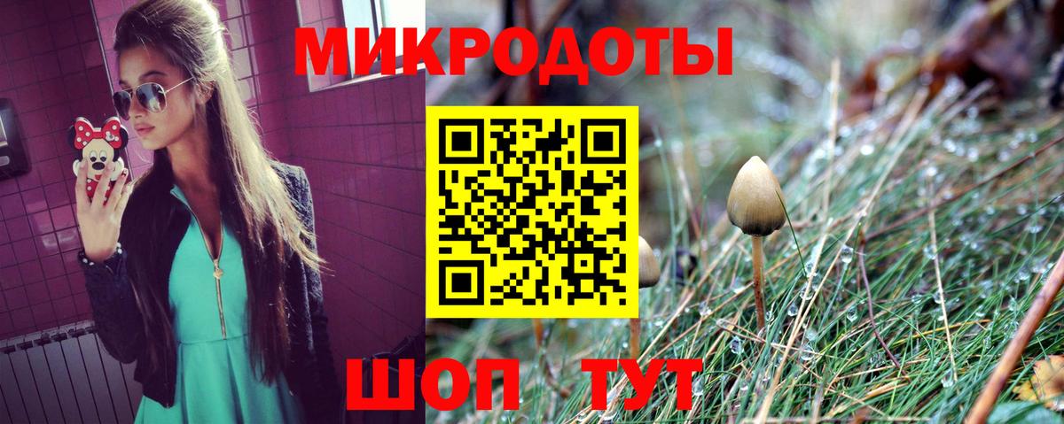 Баксан  Галлюциногенные грибы прущие грибы  Вход с VPN 